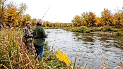 Yellow autumn leaves drifting slowly past tall reeds on a wide river at a bend
